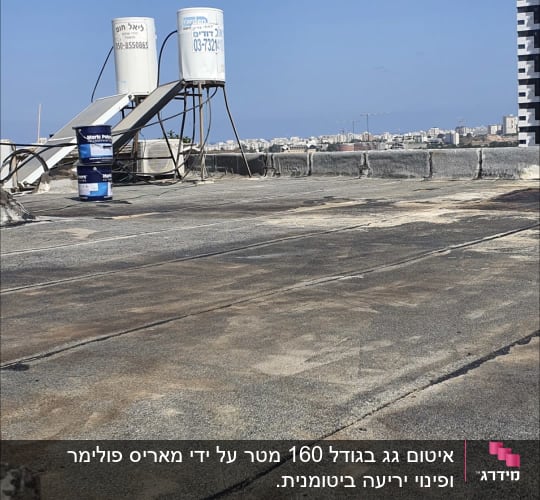 הגג לפני הטיפול